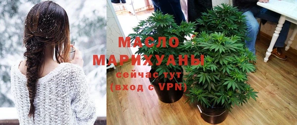 сатива Волоколамск