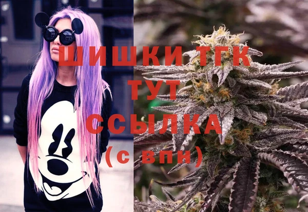 сатива Волоколамск