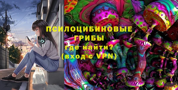 стаф Медногорск