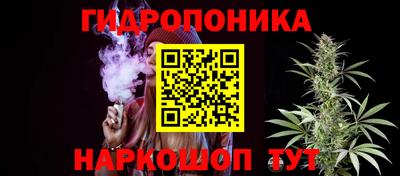 соль ск Будённовск